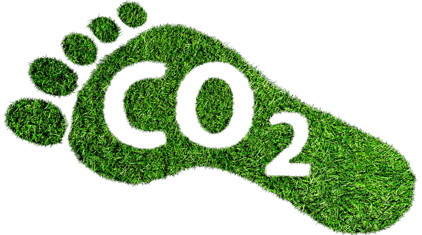 A footprint made of grass with CO2 cut out of it